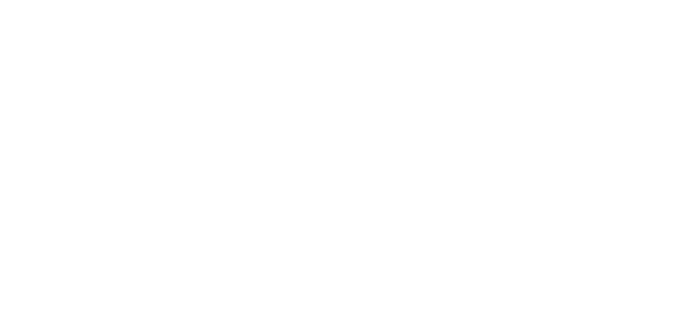 Logo Lise Martin-Wu